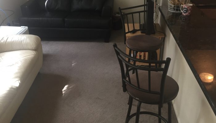 1110 Oakland Avenue - Photo 7